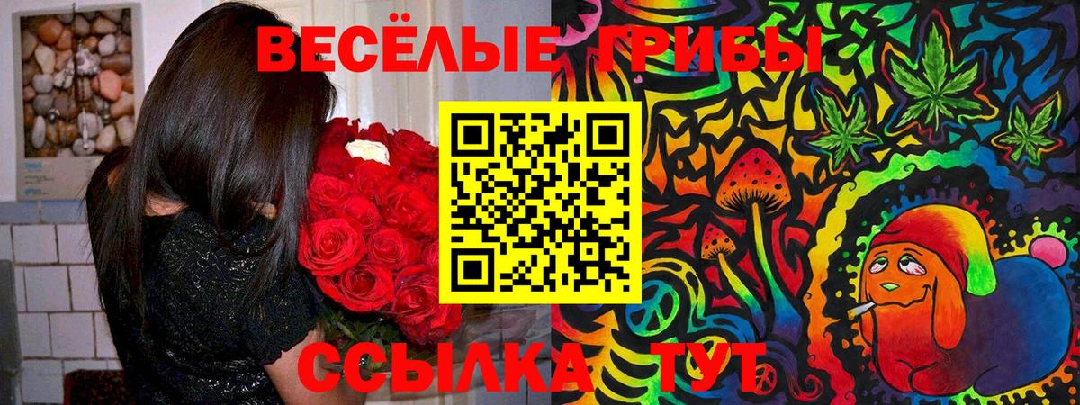 Псилоцибиновые грибы Magic Shrooms  Вход с VPN  Фролово 