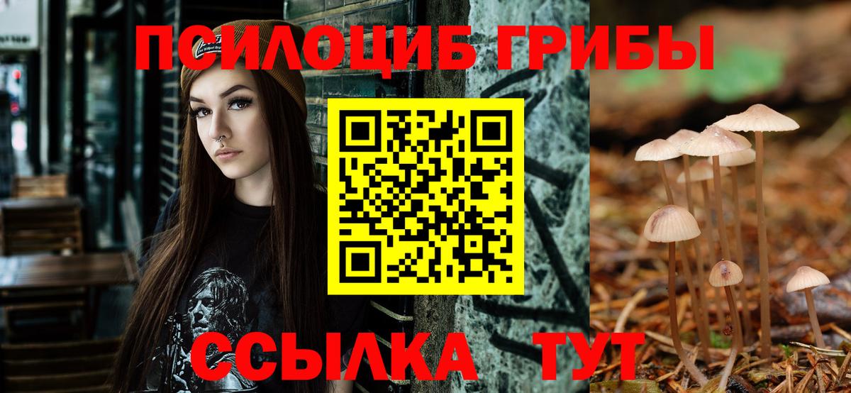 Псилоцибиновые грибы MAGIC MUSHROOMS Фролово